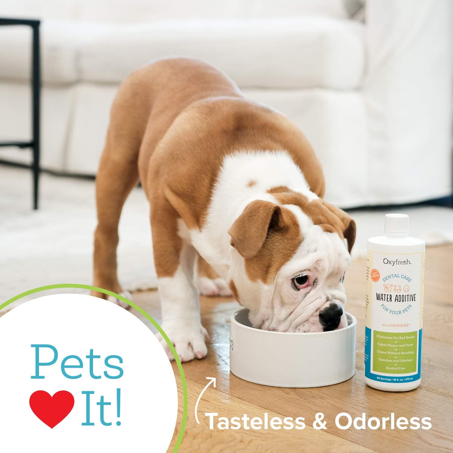 Oxyfresh Premium Pet Dental Care Solution Pet Water Additive: Best Way to Eliminate Bad Dog Breath and Cat Bad Breath - Fights Tartar & Plaque - So Easy, Just Add to Water! Vet Recommended 128 oz. - Pet Explorer