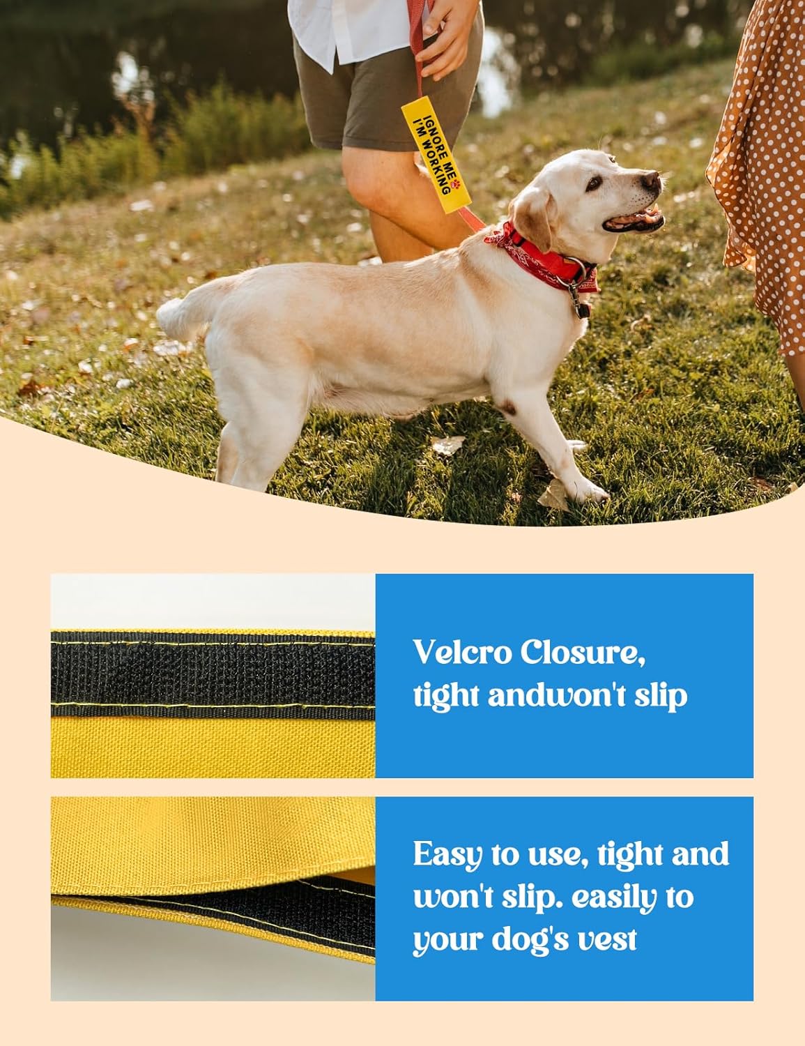 Ignore Me I'm Working Dog Leash Sleeve, Funny Yellow Dog Alert Hanging ID Patch Tag, Do No Pet Leash Wrap Pet Birthday Gifts