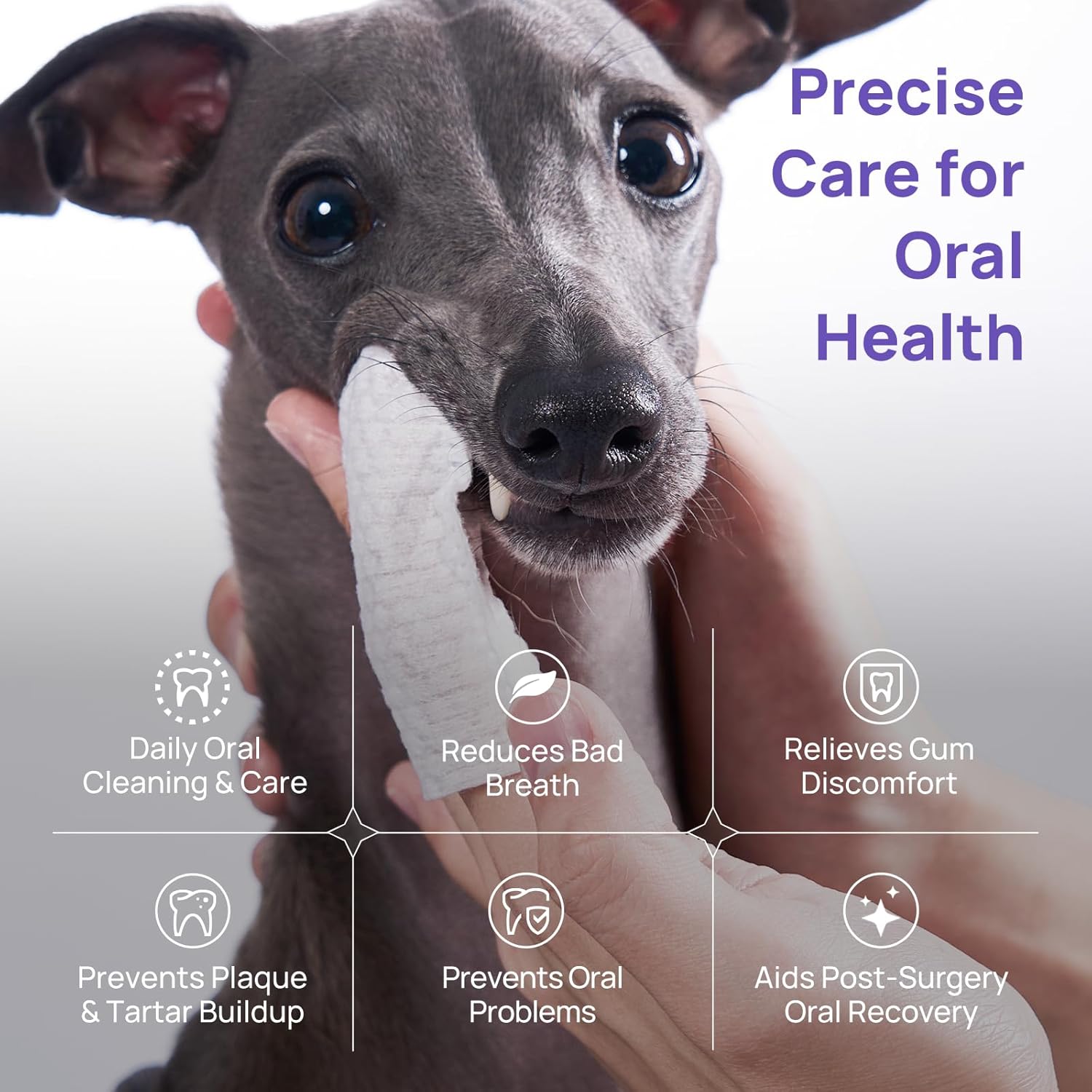 HICC PET Dog Dental Care, Oral Hydro Gel Teeth Cleaning and Breath Freshener for Dog and Cat, Relieve Gum Redness, Soothes Inflammation, Reduce Tarter and Plaque, Safe for All Animals, 2 Fl Oz - Pet Explorer