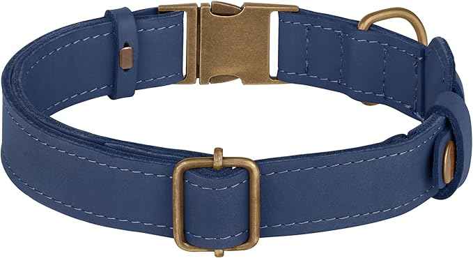 AirTag Dog Collar - Genuine Leather Dog Collar with Apple AirTag Holder and Metal Buckle - Smart GPS Tracking Pet Collars (Smoky Blue, L, 17"-21" Neck Fit)