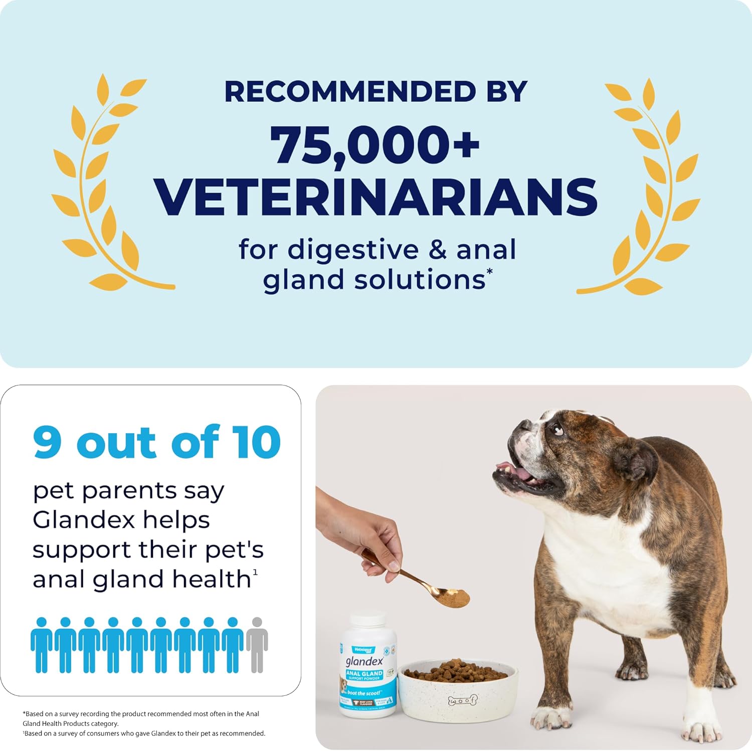 Vetnique Labs Glandex Dog Fiber Supplement Powder for Anal Glands with Pumpkin, Digestive Enzymes & Dog Probiotics for Digestive Health - Vet Recommended - Boot The Scoot (Beef Liver, 4.0oz Powder) - Pet Explorer
