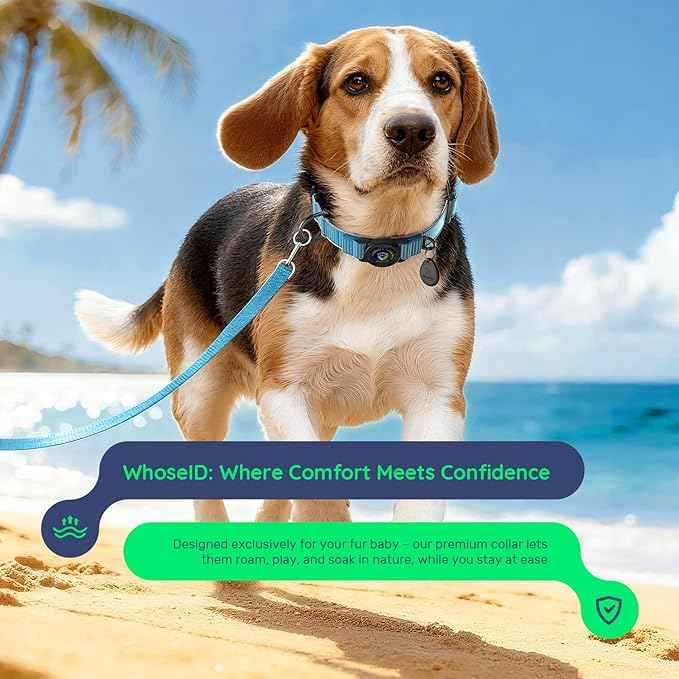 WhoseID Premium AirTag Dog Collar - Waterproof Medium Air Tag Dogs Collar | Magnetic Buckle Heavy Duty Collar | Reflective Dog Collar with AirTag Holder