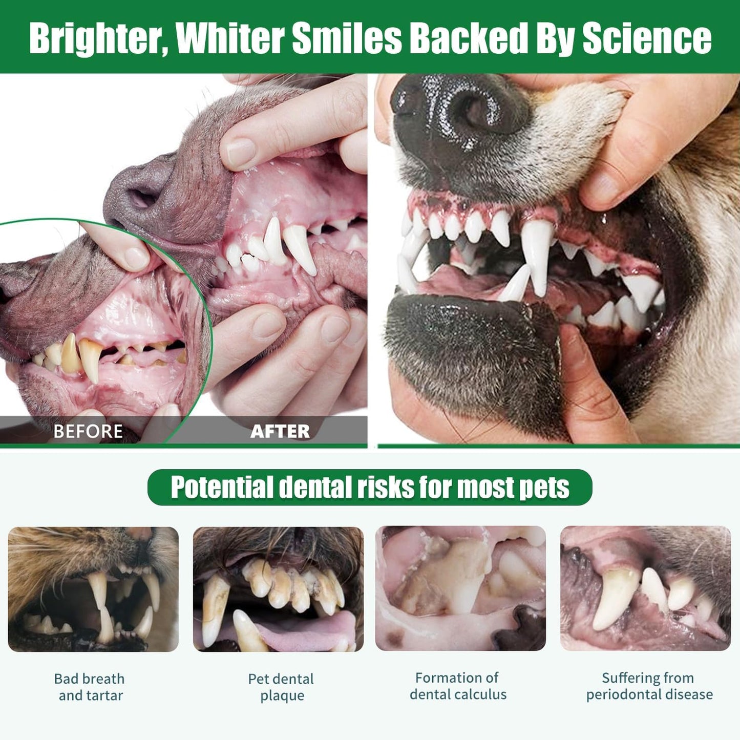 Dog Dental Powder - Dog Teeth Cleaning Powder,Pet Breath Freshener for Teeth Cleaning,Tartar Remover & Reduces Plaque & Bad Breath,Dental Care Supplies for Dogs Cat-Beef Flavor 50g - Pet Explorer