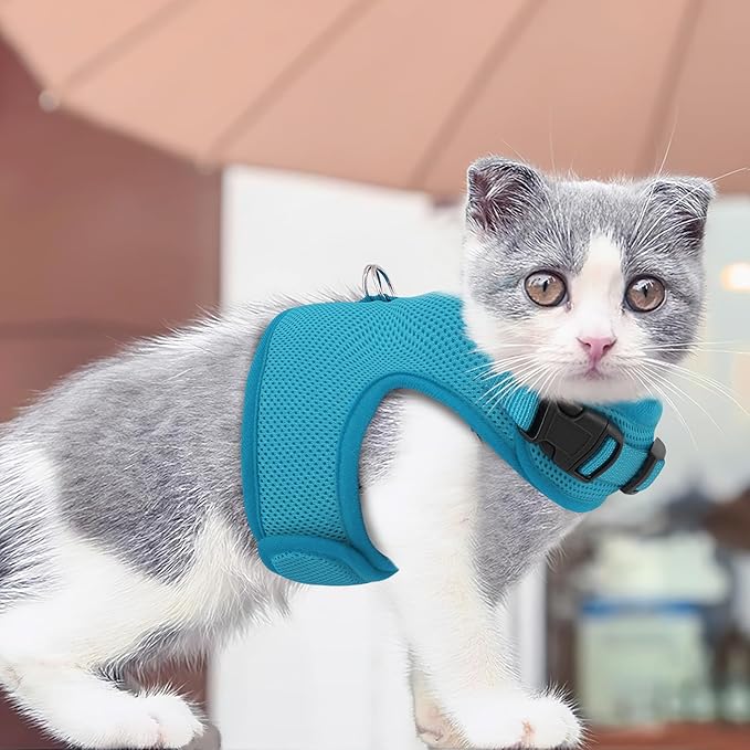 Athena Collection Adjustable Cat Harness with Velcro, Portable Large Sized Cat Vest Harness Breathable Comfy Escape Proof Cat Kitten Harness Pet Supplies for Outdoor Walking Training, Blue