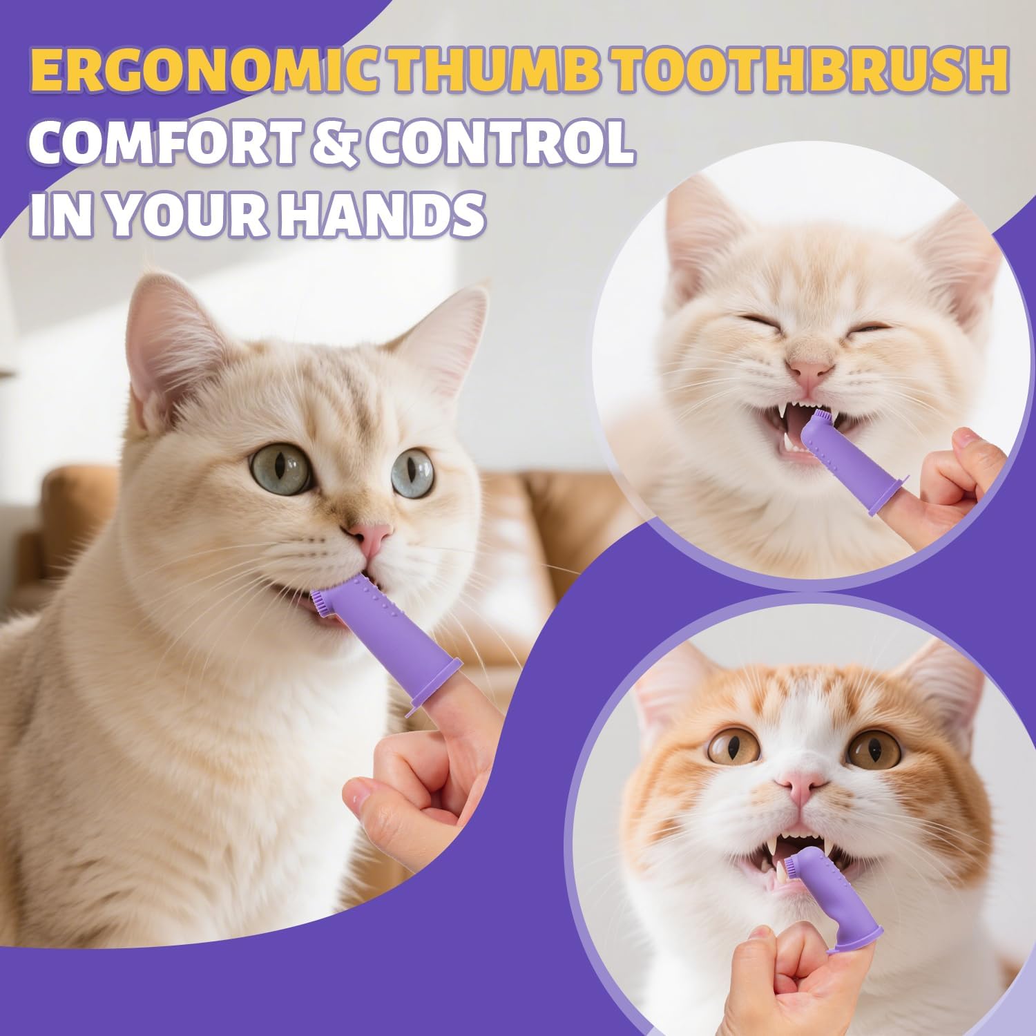 Cat Toothbrush and Toothpaste Kit - Includes Toothpaste (Coconut Chicken 2.5 oz.) Soft Brush, Finger Brush - Provides Safe and Effective Oral Care for Kittens and Adult Cats - Pet Explorer