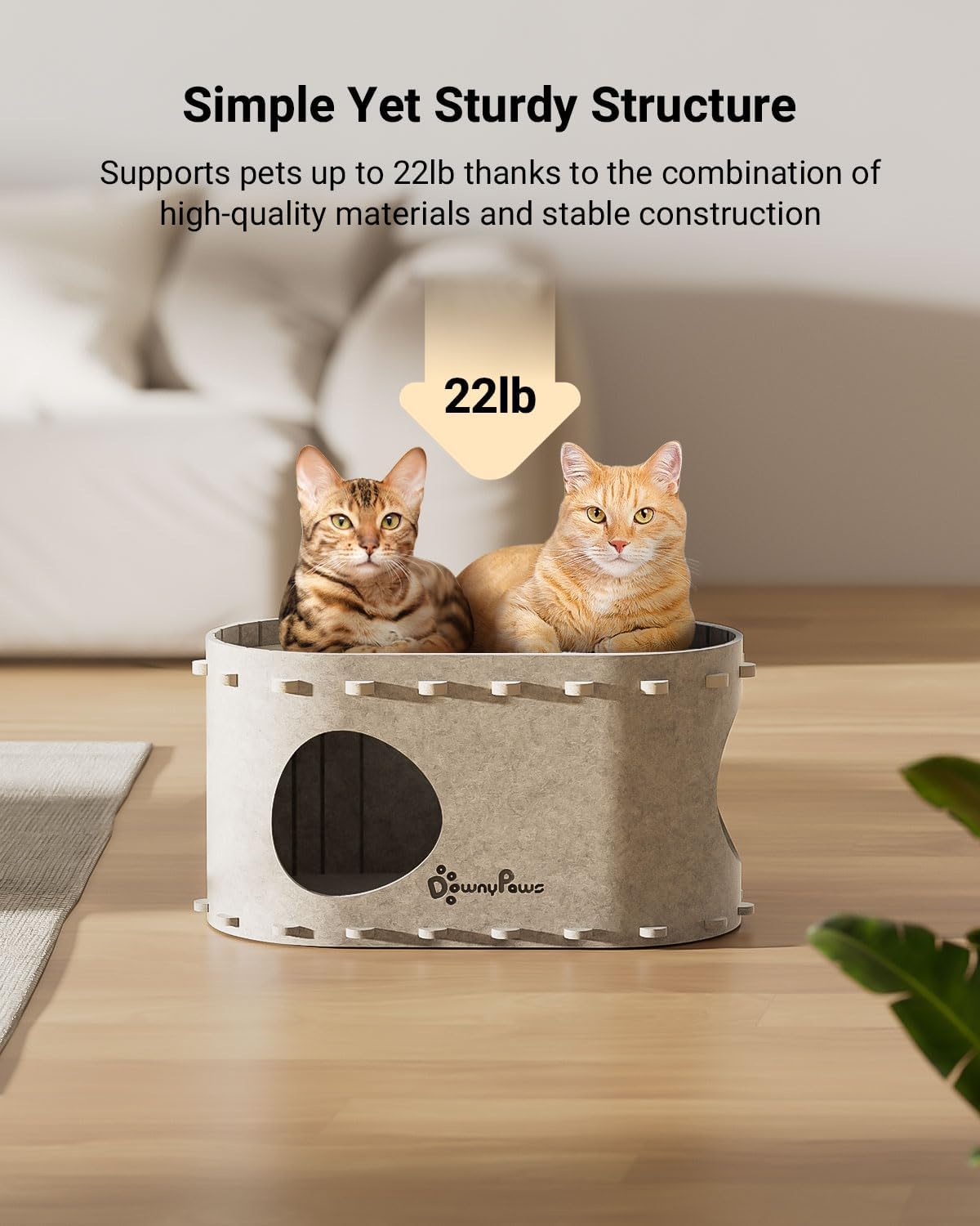 DownyPaws Cat House for Indoor Cats, Cat Bed Cave for Multiple & Large Cats Up to 22 Lbs, Scratch Resistant, Foldable Peekaboo Kitten Caves Tunnel Enclosed Bed, PeekaPurr, Cream - Pet Explorer