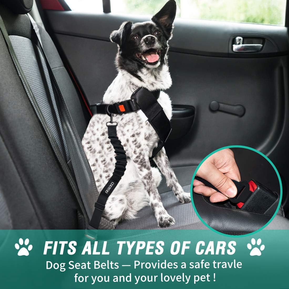 COOYOO Dog Seat Belt,Retractable Dog Car Harness Seat Belt for Car Adjustable Nylon Pet Safety Seat Belts Heavy Duty & Elastic Bungee Buffer - Pet Explorer