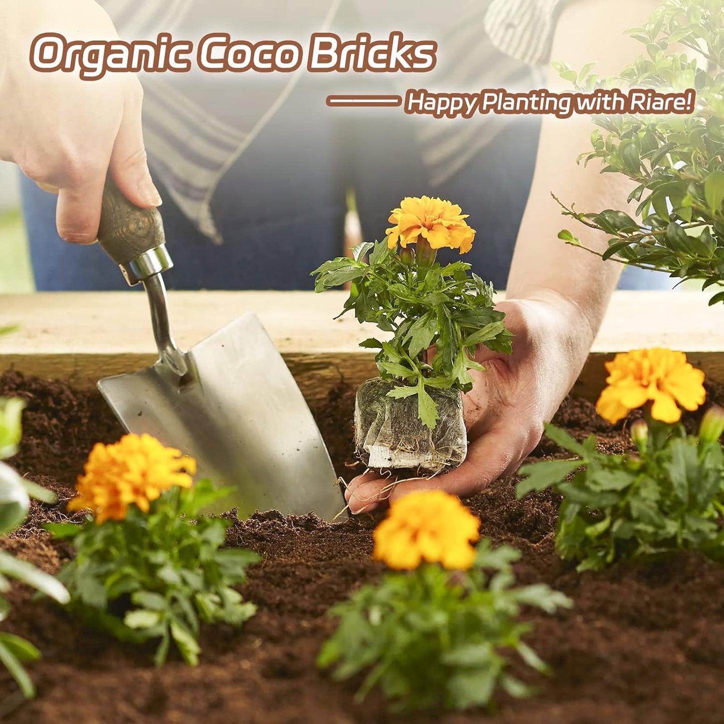 Riare 8pcs Organic Coco Coir Bricks Soil Blocks- 100% Natural Compressed Coco Peat Brick Coconut Fiber Substrate with Low EC& pH Balance, High Expansion Coco Coir Pith Coconut Husk for Garden - Pet Explorer