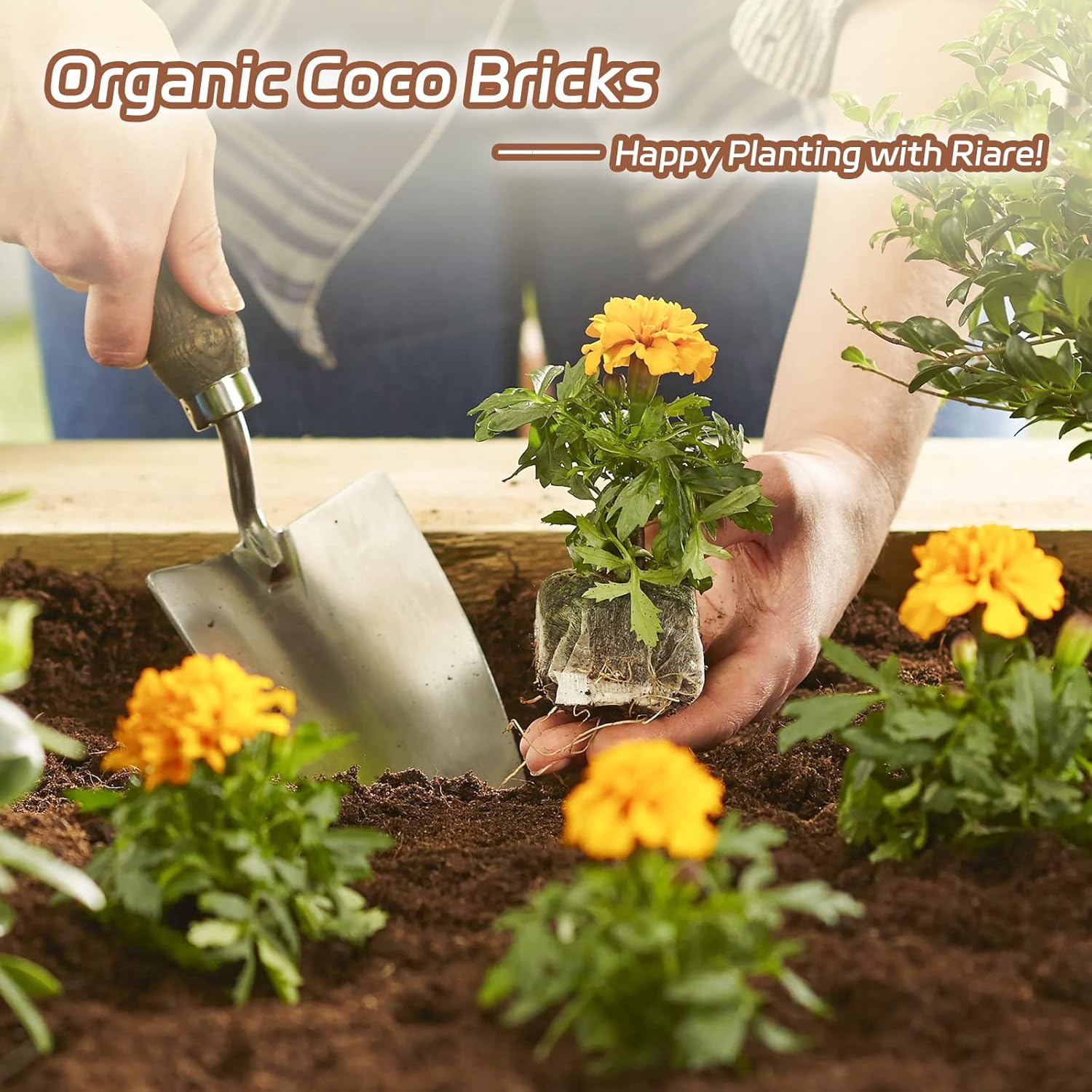Riare 8pcs Organic Coco Coir Bricks Soil Blocks- 100% Natural Compressed Coco Peat Brick Coconut Fiber Substrate with Low EC& pH Balance, High Expansion Coco Coir Pith Coconut Husk for Garden - Pet Explorer