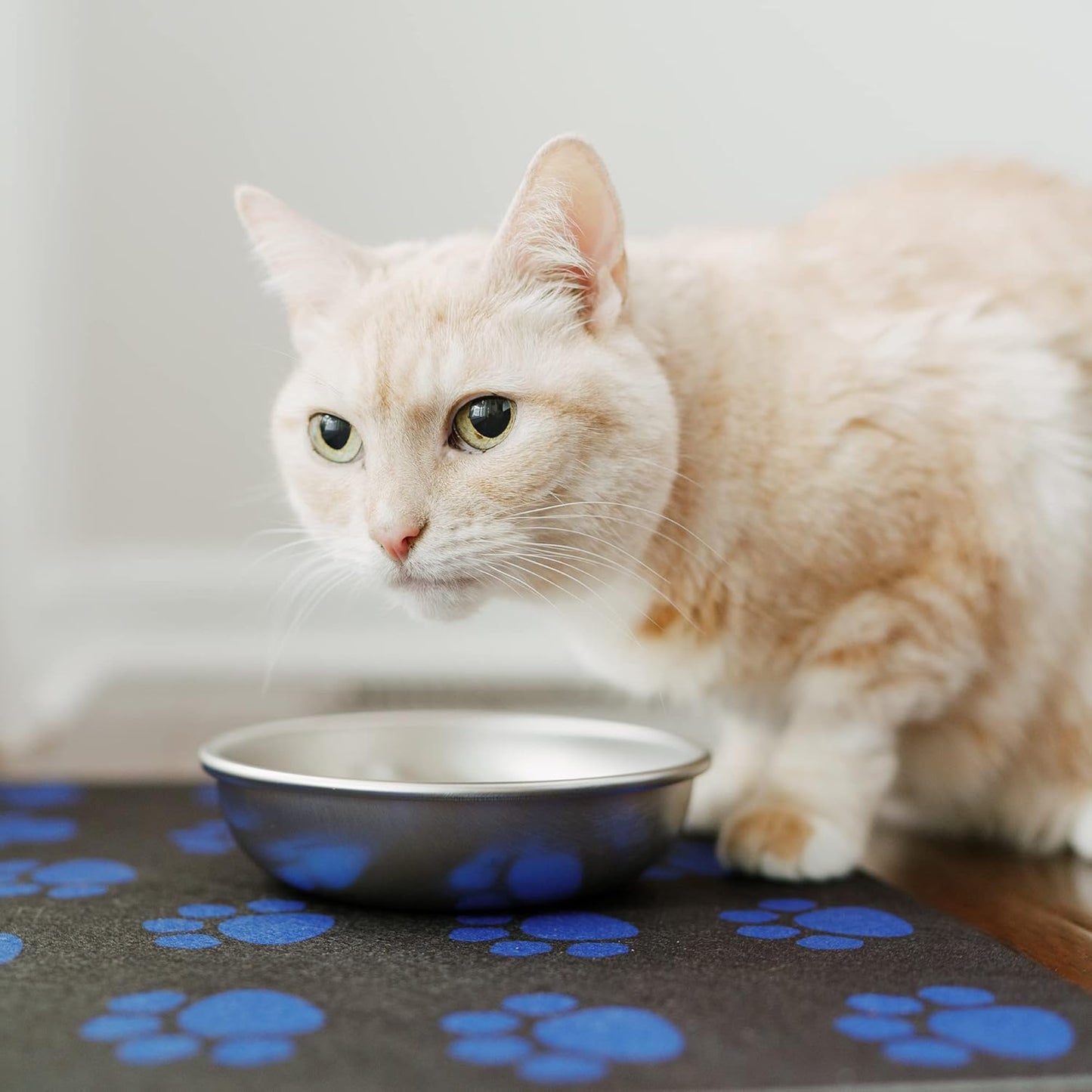 Americat Cat Feeding Mat Machine Washable, Waterproof, No-Slip Cat Placemat Protect Floors from Messy Eaters & Drinkers 16 x 12 Inches (Paw Prints)