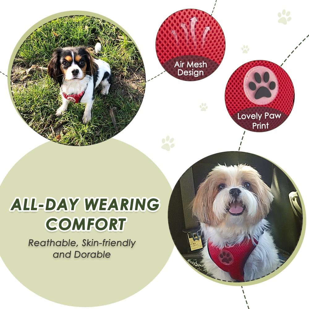 SlowTon Dog Seat Belt Harness for Car, Dog Car Harness Adjustable Mesh Breathable & Dog Seatbelt Safety Tether with Elastic Bungee for Small Medium Large Pets(Red, Double Clip, XS) - Pet Explorer