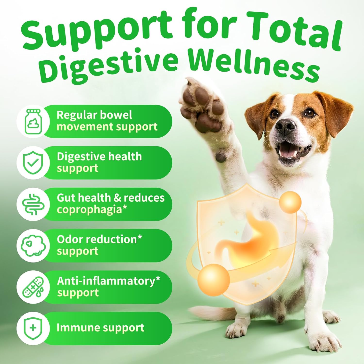 Premium Dog Digestive Enzymes and Probiotics with Pumpkin for Gut Health Support - Daily Chews for Digestion & Gas Relief - Chicken Flavor-90 Count - Pet Explorer