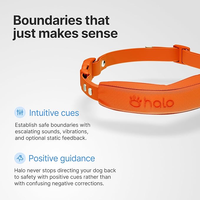 Halo Collar 5 Wireless Dog Fence & GPS Dog Collar, Keep Your Dog Safely Contained Outdoors with App-Controlled Boundaries and Real-Time Tracking, One Size, Midnight