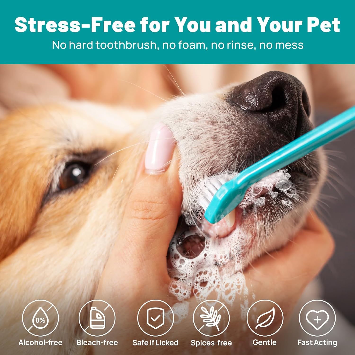 Dog Dental Care Wipes - Cat & Dog Teeth Cleaning Finger Wipes - Tooth Brushing Kit Dental Wipes - Reduces Plaque & Freshens Breath, Honey Scent - Pet Explorer