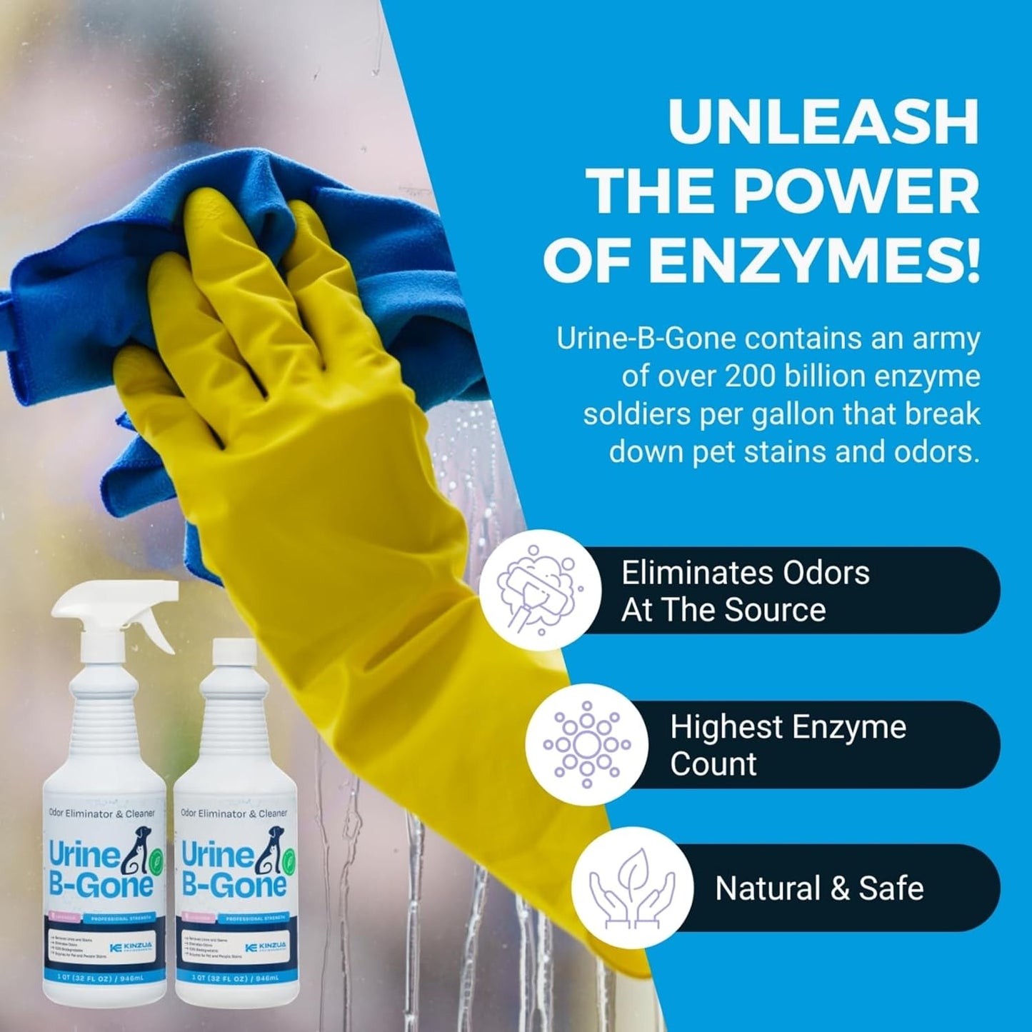KINZUA ENVIRONMENTAL Urine B-Gone, Professional Enzyme Odor Eliminator & Pet Stain Remover, Human, Cat & Dog Urine Cleaner, Effective on Laundry, Carpets & More, Lavender Scent, 32oz, Pack of Two - Pet Explorer