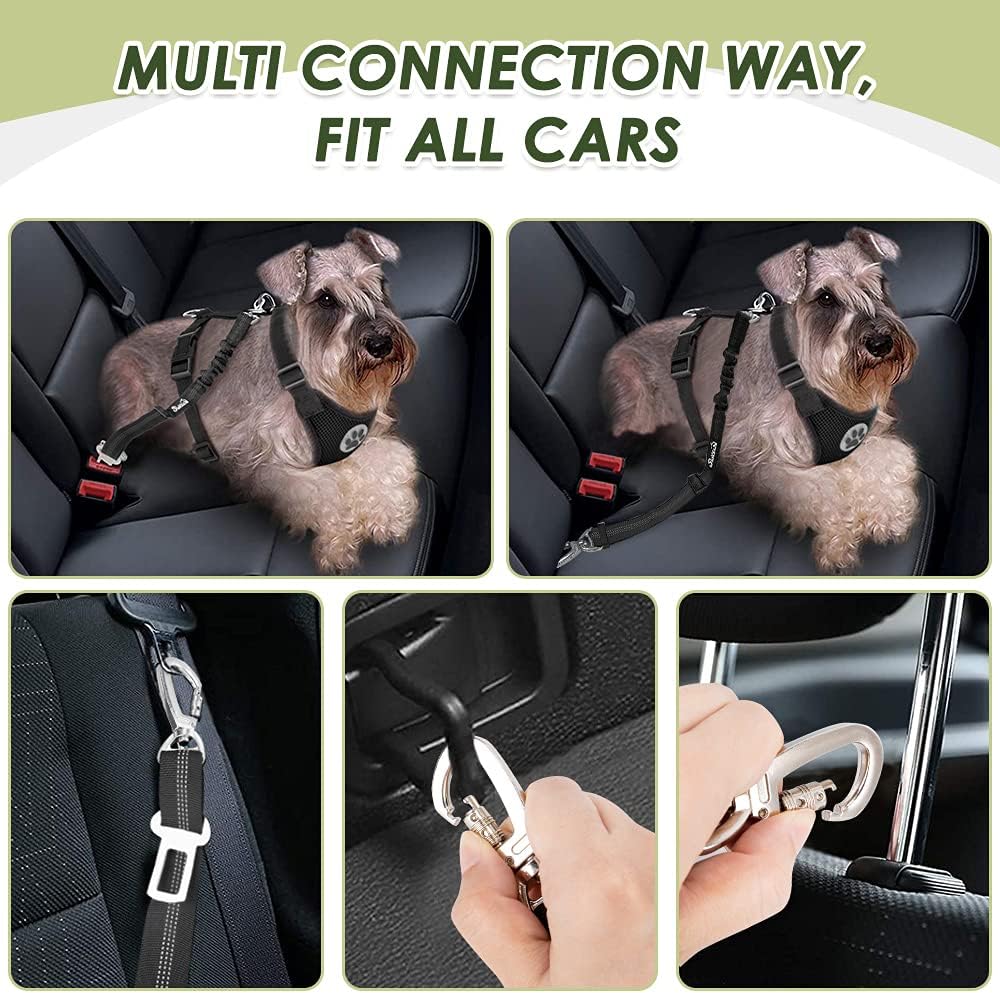 SlowTon Dog Seat Belt Harness for Car, Dog Car Harness Adjustable Mesh Breathable & Dog Seatbelt Safety Tether with Elastic Bungee for Small Medium Large Pets(Black, Double Clip, S) - Pet Explorer
