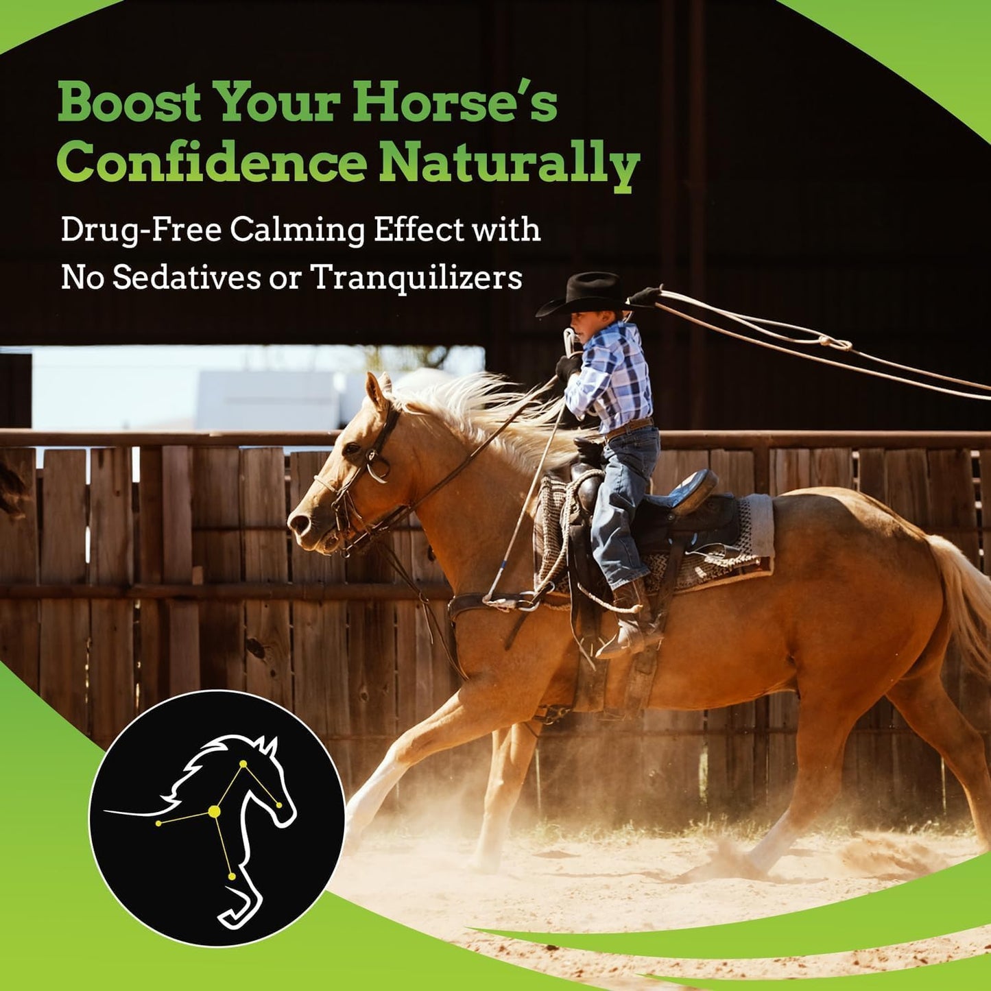 SynChill AF Calming Gel for Nervous Horses - Single Serving - Advanced Formula with L-Theanine, Increased Potency, 100% Natural Supplement, Disposition & Confidence Support for Horses - 12 Pack