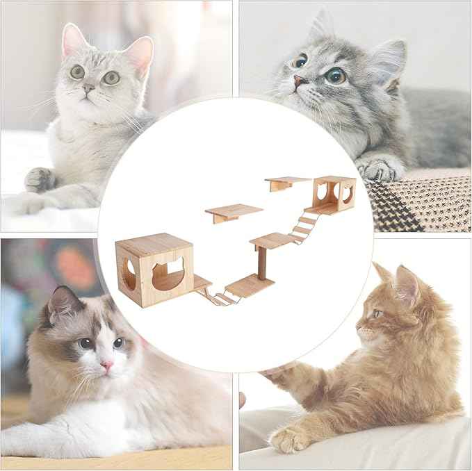 Wall Wood Cat Climber Set, Wall Mounted Cat Furniture Wooden Cat Shelves and Perches for Wall Cat Steps Ladder Cat Bed Activity Tree Cat Climbing