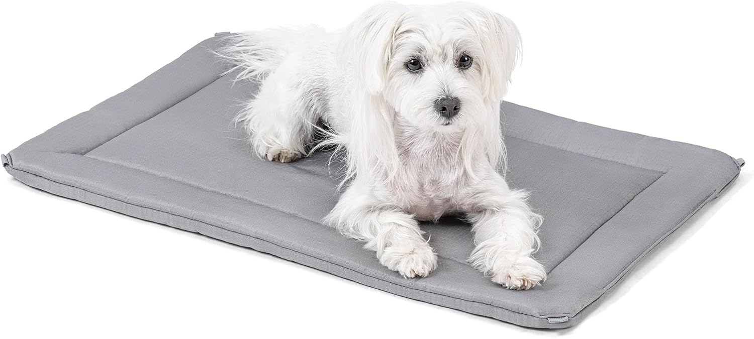 Cybarmour Chew Proof Dog Crate Pad - Outdoor Indestructible Dog Bed - Tough - Potable - Machine Washable - Water & Dirt-Resistant - Small Breeds & Fits 24-Inch Crate - 23"x16", Limestone - Pet Explorer