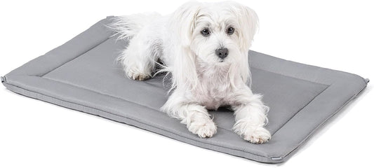 Cybarmour Chew Proof Dog Crate Pad - Outdoor Indestructible Dog Bed - Tough - Potable - Machine Washable - Water & Dirt-Resistant - Small Breeds & Fits 24-Inch Crate - 23"x16", Limestone - Pet Explorer