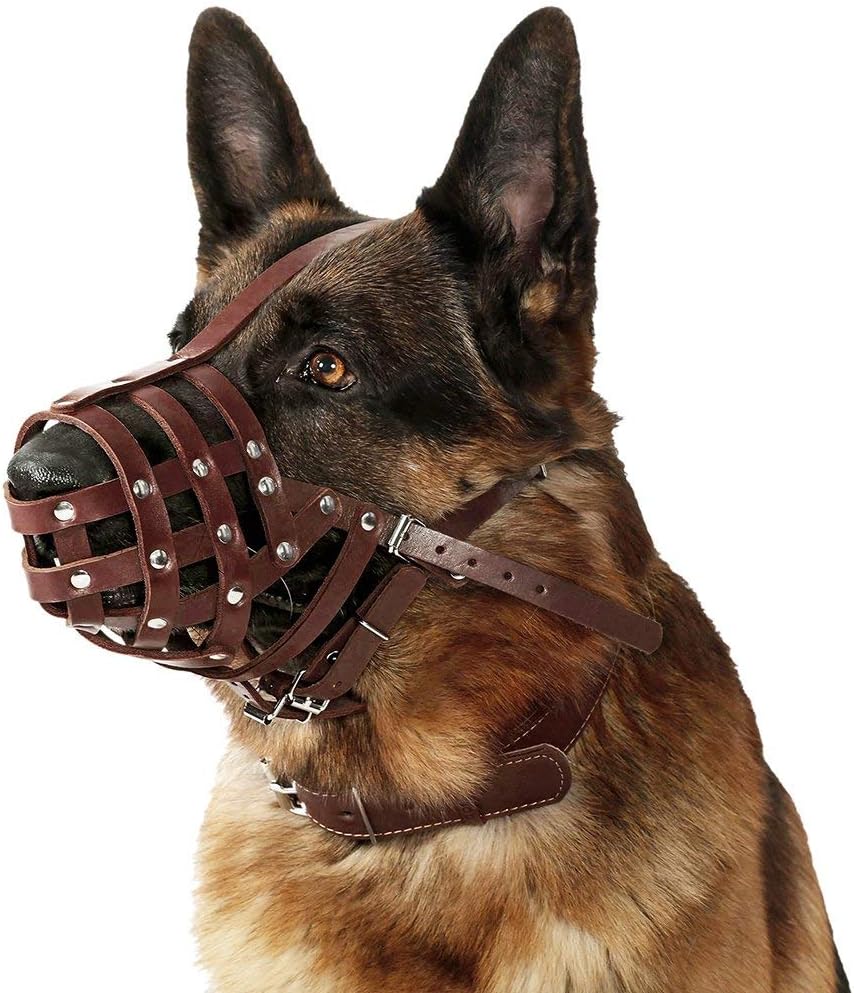 CollarDirect Dog Muzzle German Shepherd Dalmatian Doberman Setter Leather Basket Medium Large Breeds (Chestnut Brown, Large) - Pet Explorer