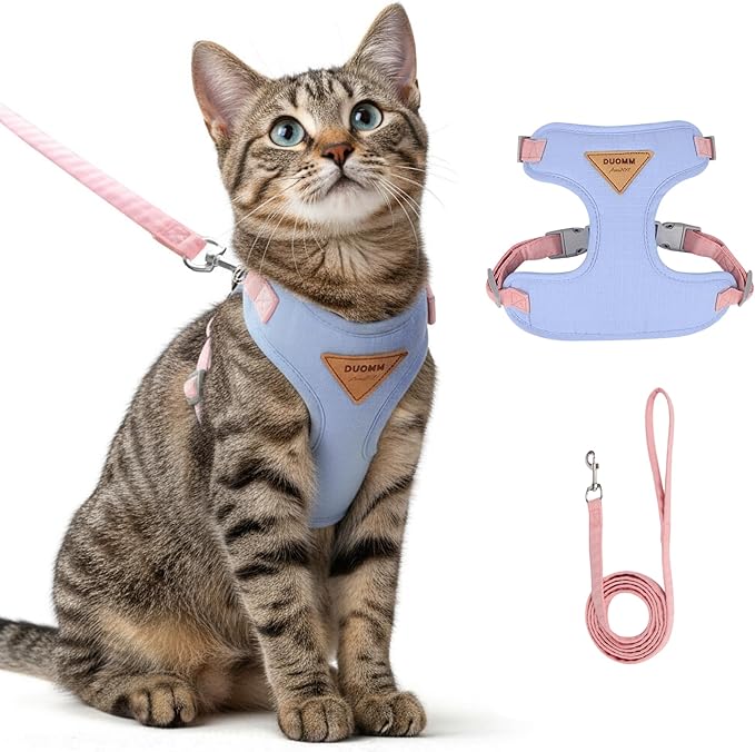 Escape-Proof Cat Harness and Leash Set - Adjustable and Comfortable - Ideal for Walking Cat Outdoors - Fits Small Dogs, Kittens, Medium, and Large Cats (Blue, XS)