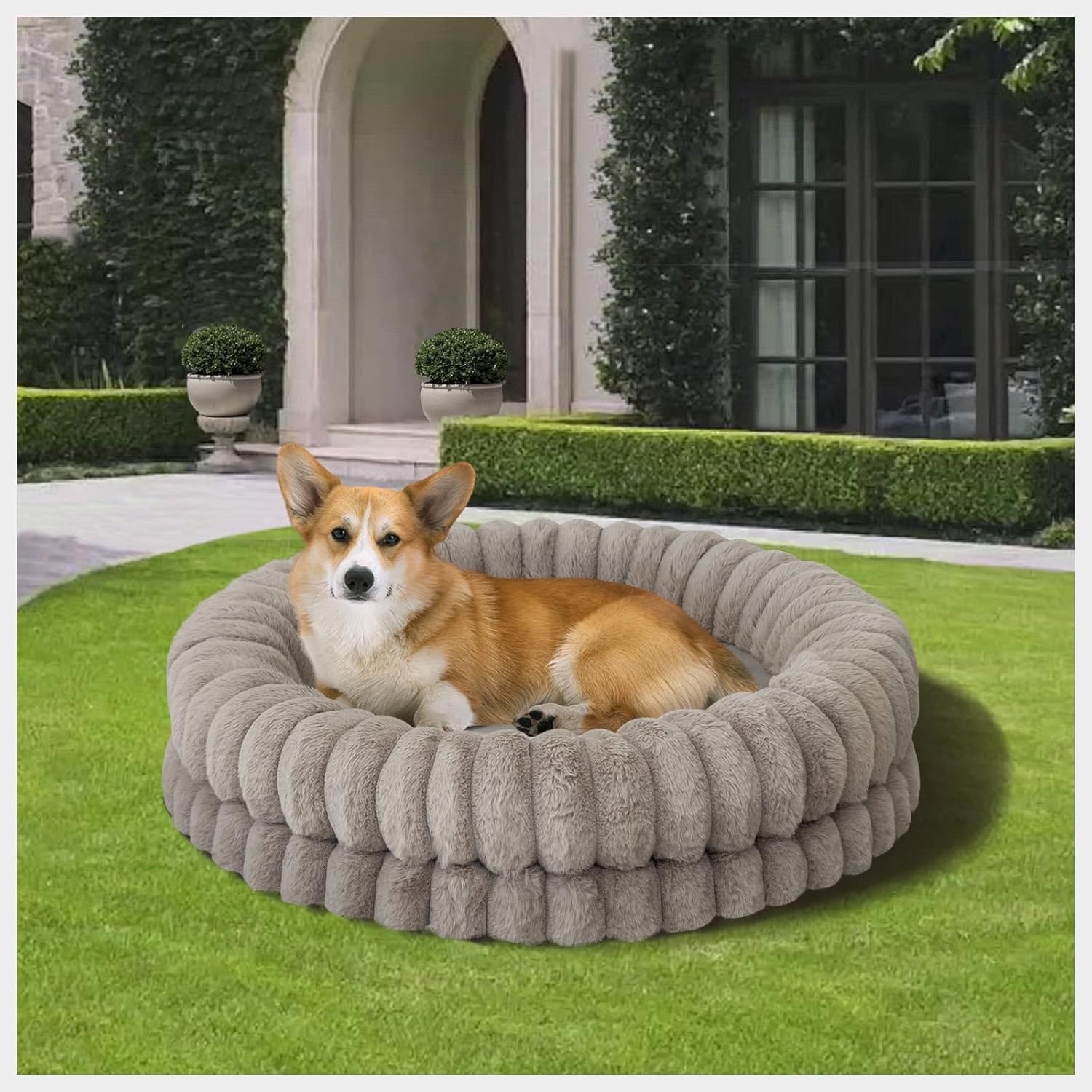 BALANCE Luxury Donut Dog Bed, 30 Inches Round Dog Bed Medium Size Dogs Washable, Orthopedic Calming Dogs Bed for Pets with Anti-Slip Bottom, Oatmeal - Pet Explorer
