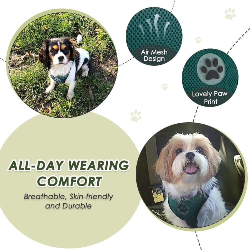 Lukovee Dog Seat Belt for Car, Adjustable Dog Car Harness for Large Medium Small Dogs, Soft Padded & Breathable Mesh Dog Seatbelt with Car Strap and Carabiner((Double Clip 2 in 1),XX-Small) - Pet Explorer
