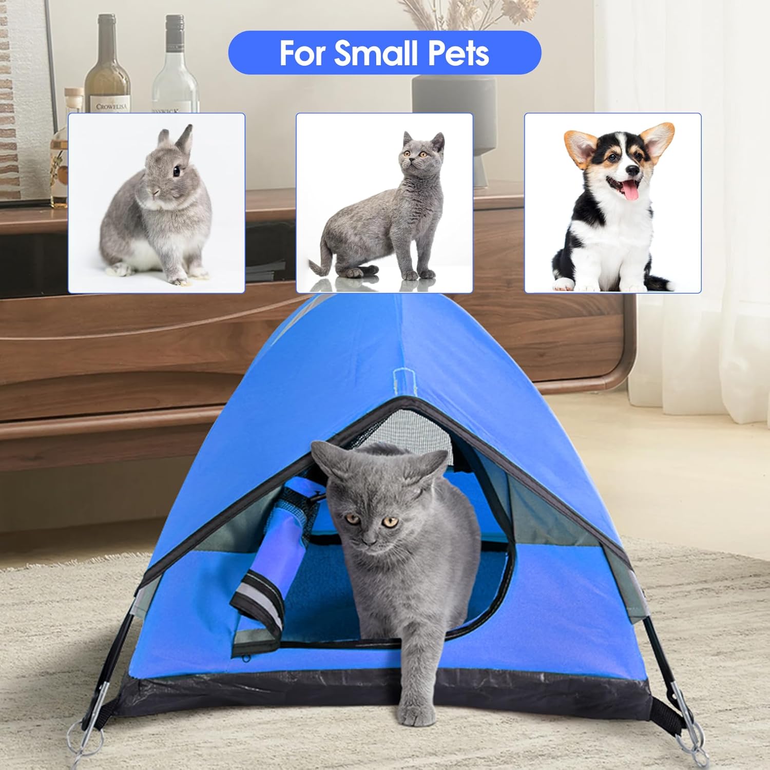 Cat Camping Tent, Cat Tent Bed, Pet Tent for Indoor Cat and Small Dog, Mini Tent (Blue, 21 x 21 x 14 Inches) - Pet Explorer