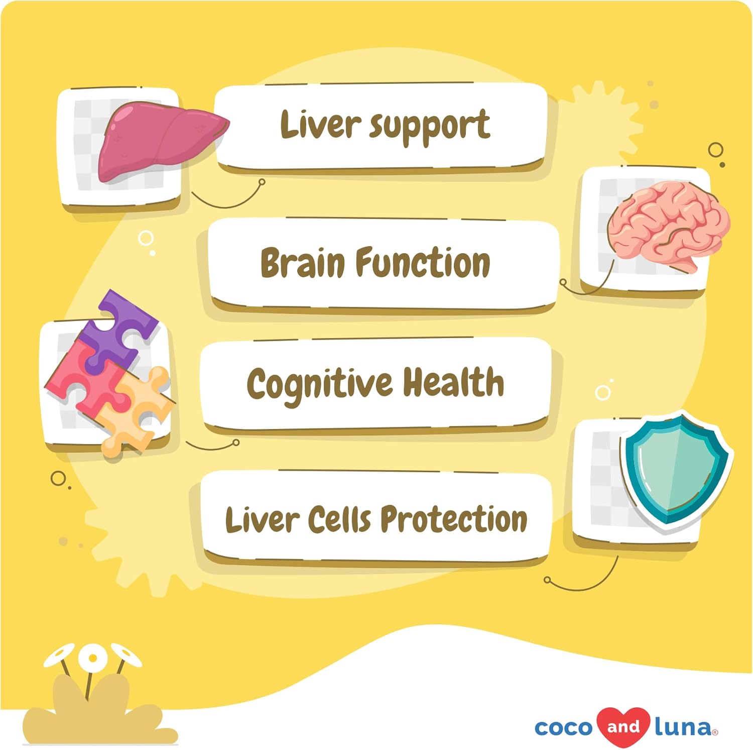 Same for Dogs - 90 Soft Chews - S-Adenosyl-L-Methionine - with MCT Oil for Better Absorption - Promotes Brain Health, Liver Support, and Cognitive Function - Pet Explorer