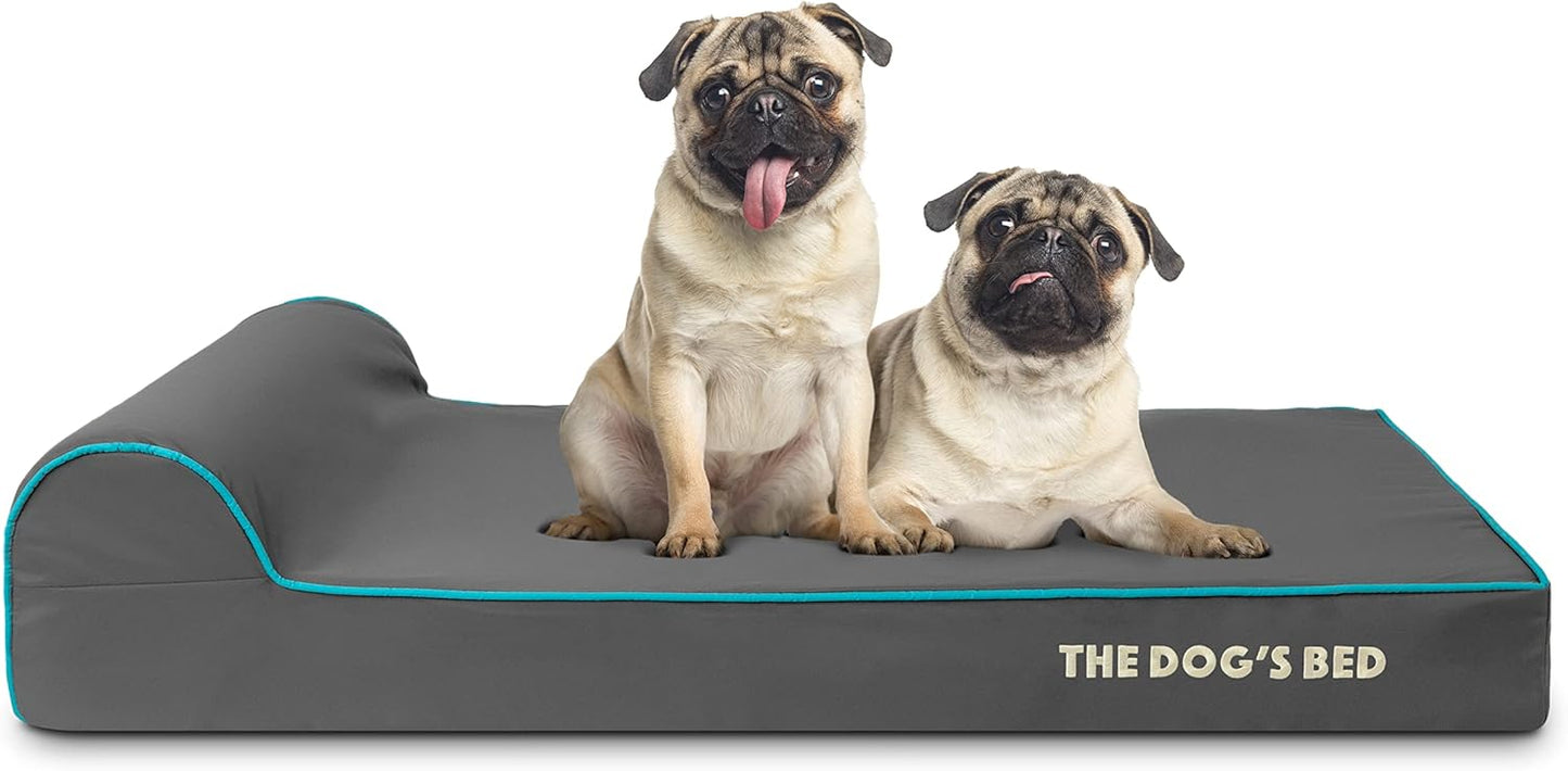 The Dog’s Bed Orthopedic Headrest Dog Bed Large Grey with Blue Trim, Memory Foam, Pain Relief for Arthritis, Hip & Elbow Dysplasia, Post Surgery, Veterinary Approved, Waterproof Washable Cover - Pet Explorer