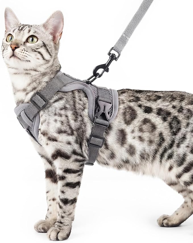 Cat Harness and Leash Set Escape Proof Tactical Extra Large Kitten Harness Emotional Support Cat Vest, Grey, XL