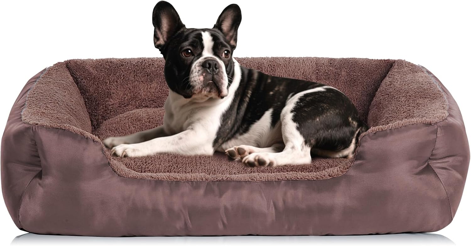 Dog Beds for Small Dogs Washable, Rectangle Dog Bed, Warming Soft Calming Sleeping Puppy Bed with Anti-Slip Bottom - Pet Explorer