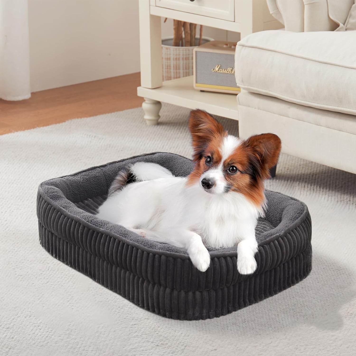 Orthopedic Dog Bed for Puppy,Extra Small Dogs Breeds,Oval Cat Bed,High Density Egg Crate Foam Dog Sofa Beds,Pet Couch Bed with Four Sided Bolster,Removable Washable Cover&Non-Slip Bottom - Pet Explorer