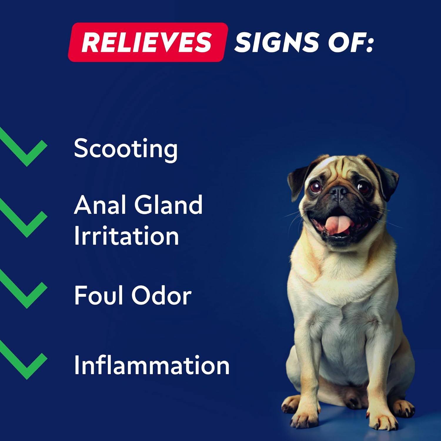 STRELLALAB Anal Gland Support Chews - Scoot Treatment - Digestive Enzymes, Prebiotics & Fiber Supplement for Dogs Digestion & Gut Health. Proprietary Blend of Beet, Psyllium, Dandelion & Pumpkin 120Ct - Pet Explorer