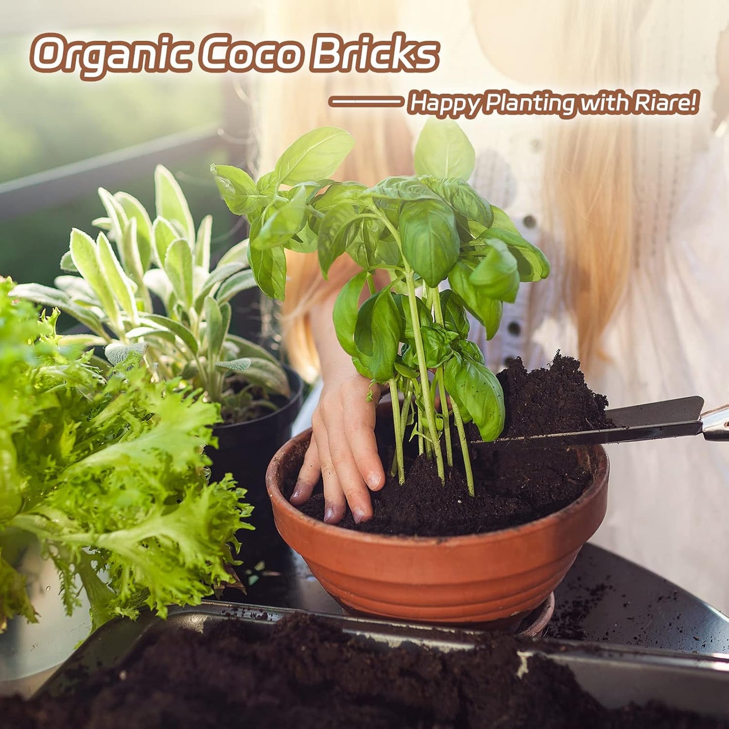 Riare 10pcs Organic Coco Coir Bricks Soil Blocks- 100% Natural Compressed Coco Peat Brick Coconut Fiber Substrate with Low EC& pH Balance, High Expansion Coco Coir Pith Coconut Husk for Garden - Pet Explorer