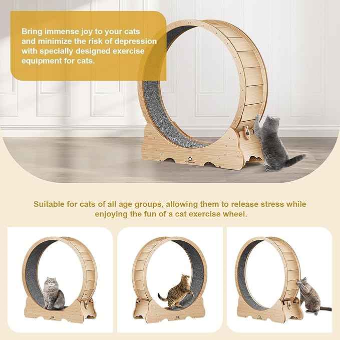 Cat Wheel, 43" L Large Cats Exercise Running Wheel, Cat Treadmill for Indoor Cats