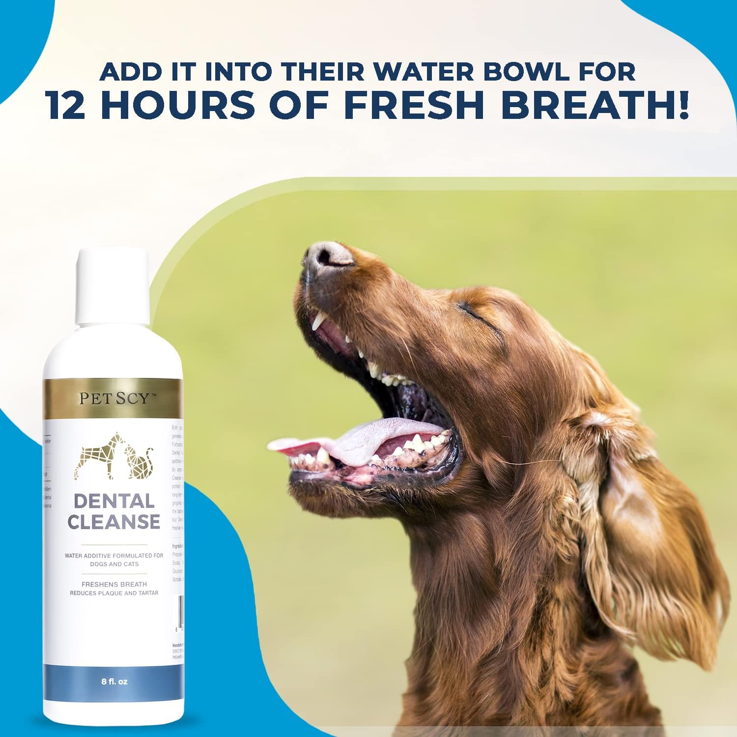 Petscy - Dental Cleanse, All-Natural Cat & Dog Tartar Remover for Teeth, Cat & Dog Water Additive for Dental Care, Suitable for All Ages, Breeds & Sizes, 8 Oz - Pet Explorer