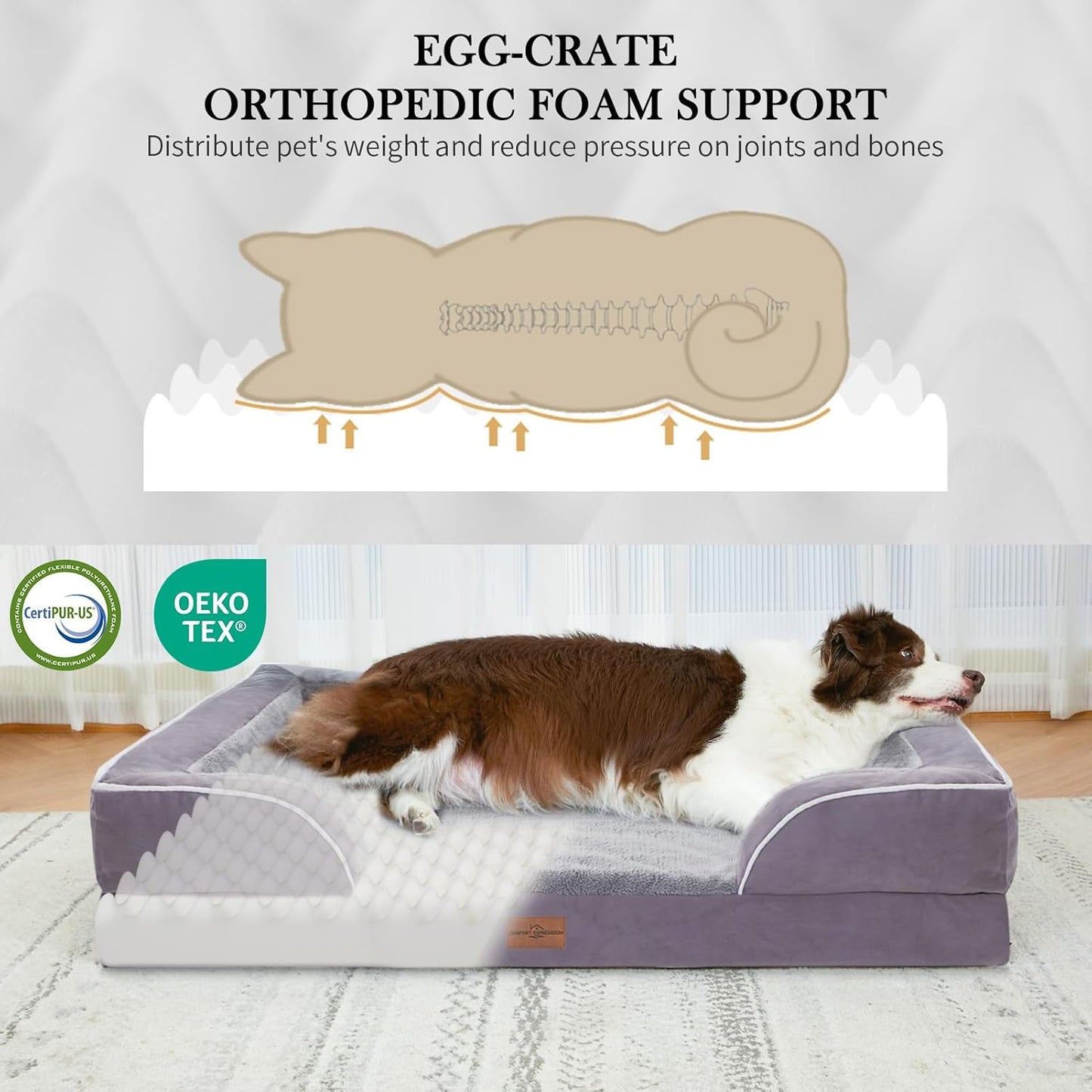 Comfort Expression Jumbo Dog Bed for Extra Large Dogs, Large Breed Waterproof Orthopedic Dog Bed, PV Washable Dogs Sofa Beds with Removable Cover & Non-Slip Bottom(Jumbo,Purple) - Pet Explorer
