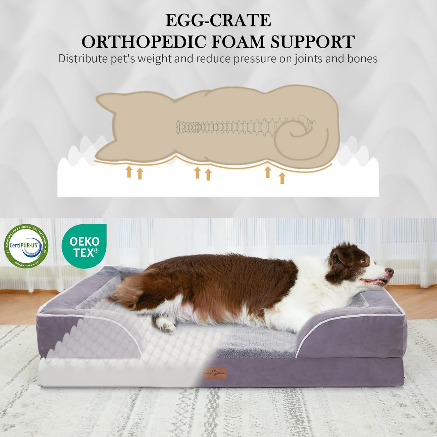 Comfort Expression Jumbo Dog Bed for Extra Large Dogs, Large Breed Waterproof Orthopedic Dog Bed, PV Washable Dogs Sofa Beds with Removable Cover & Non-Slip Bottom(Jumbo,Purple) - Pet Explorer
