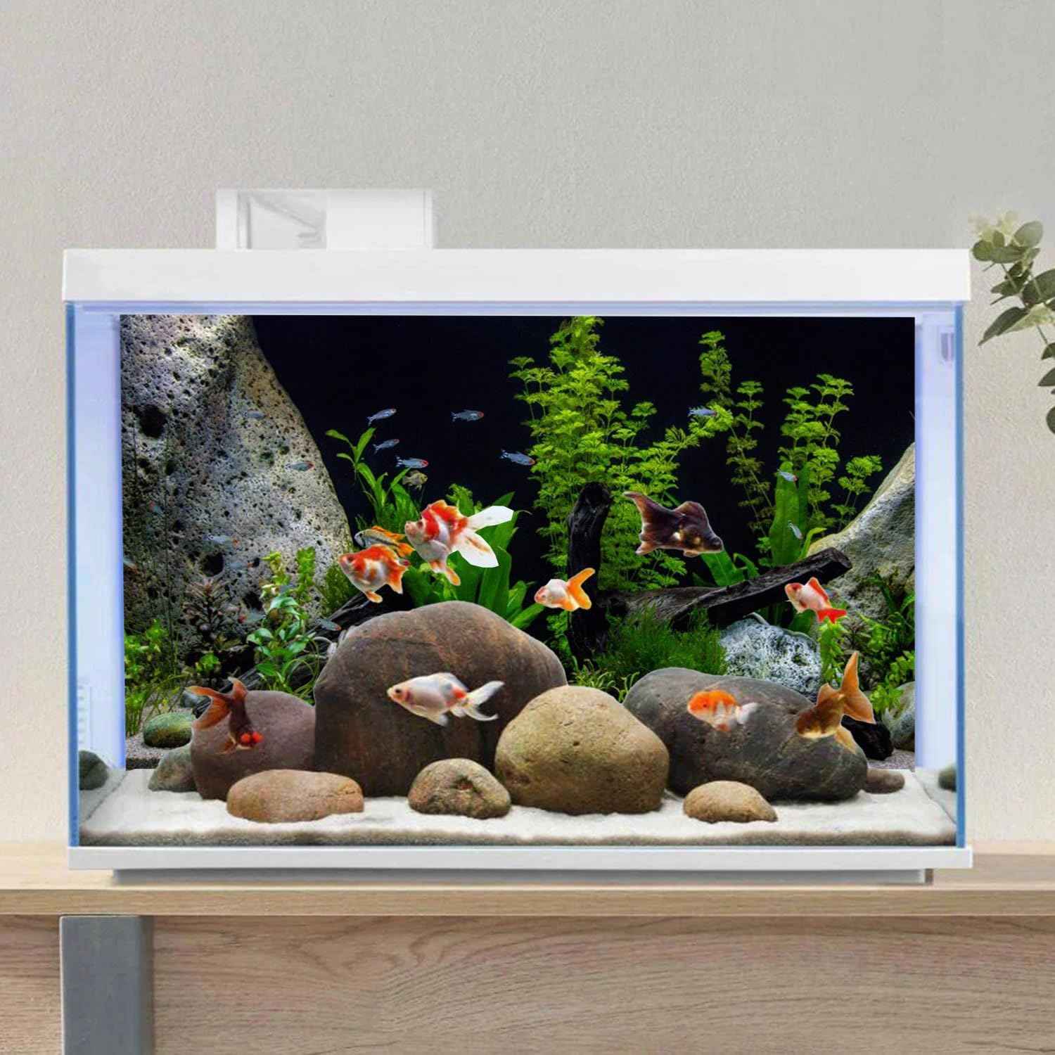 AWERT Vinyl Underwater Aquatic Plant Fish Tank Background Stone River Bed & Lake Aquarium Background 60x24 inches