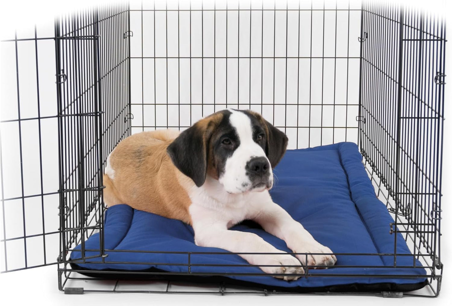 K9 Ballistics Tough Ripstop Dog Crate Pad - Durable & Machine Washable with Non-Skid Bottom and 120-Day Warranty, Fits 42" Wire Crates - Large, Blue Quartz