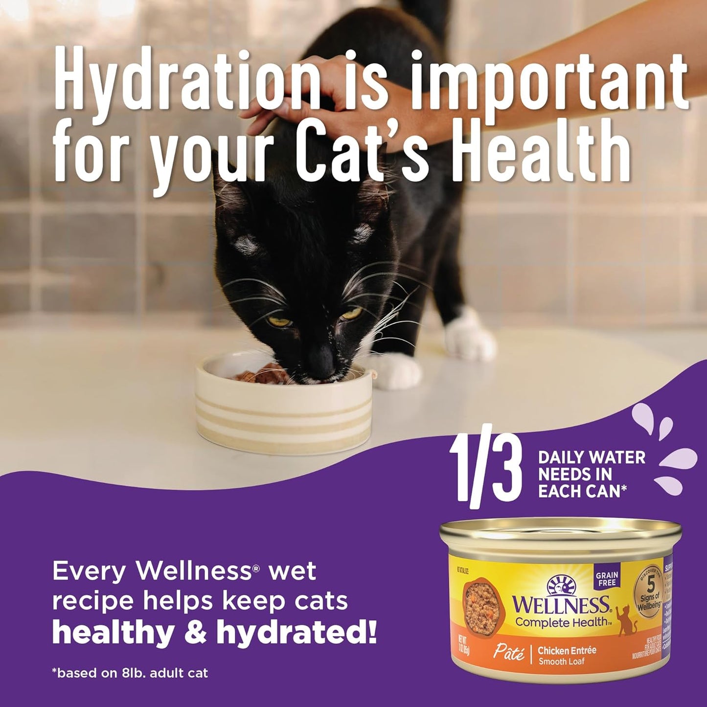 Wellness Complete Health Pate Kitten Wet Cat Food, Natural, Protein-Rich, Grain Free, 5.5 Ounce, 24 Pack, (Whitefish & Tuna)