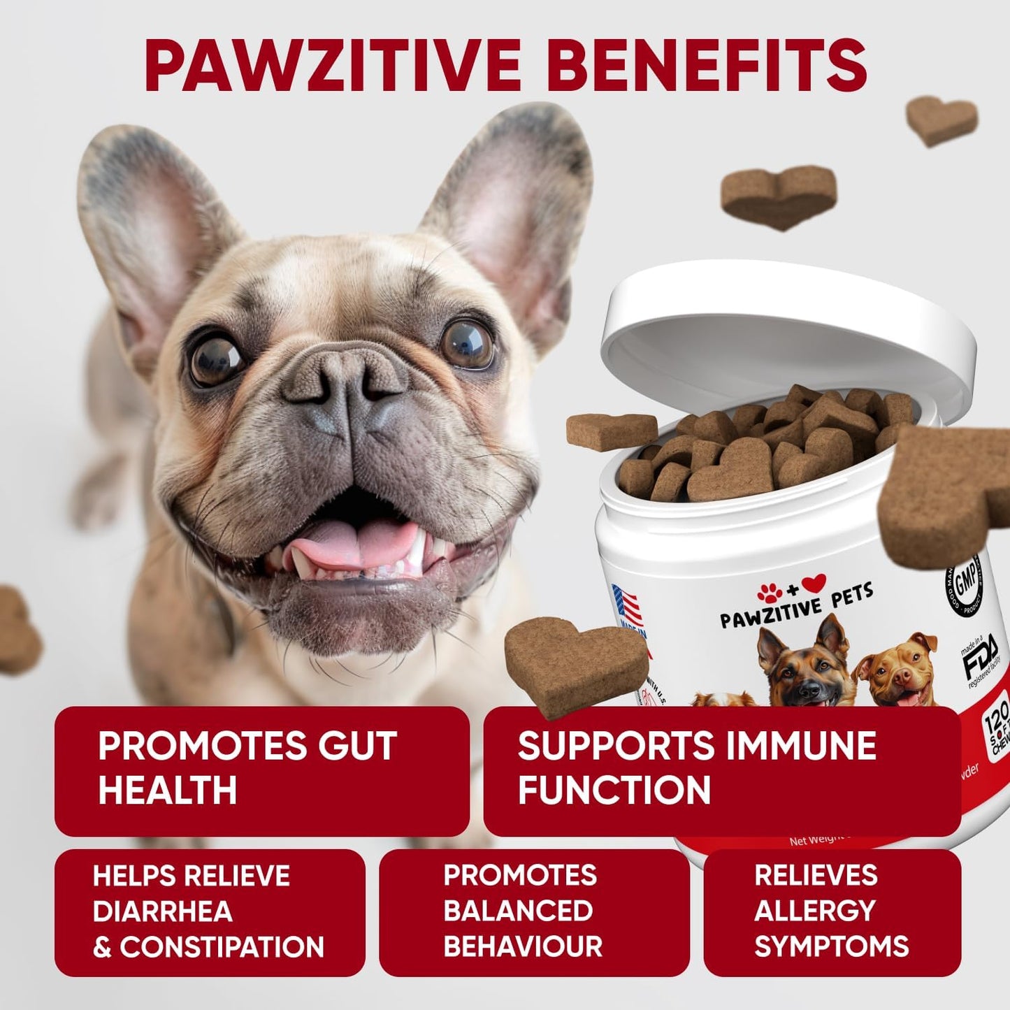 Probiotics for Dogs Digestive Health - Probiotic Chews for Gut Health, Itchy Skin Yeast, Diarrhea - USA Product - Immune Support Supplement - Dog Digestive Support & Allergy Relief Chews with Enzymes - Pet Explorer