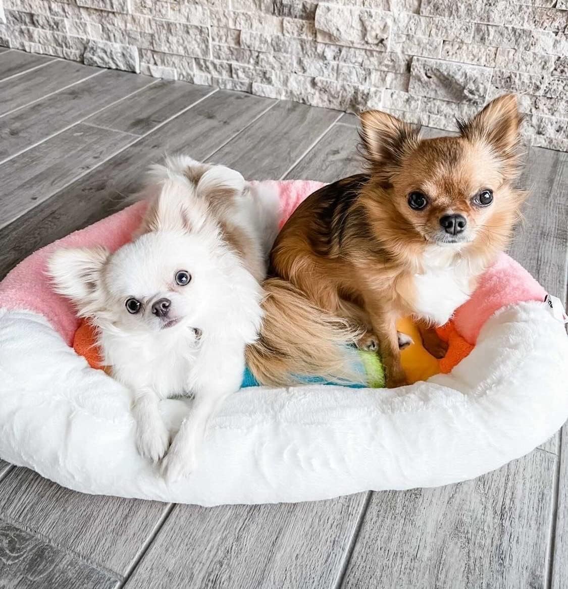 TONBO Soft Plush Small Cute and Cozy Nature Dog Cat Bed, Washer and Dryer Friendly (Rainbow) - Pet Explorer