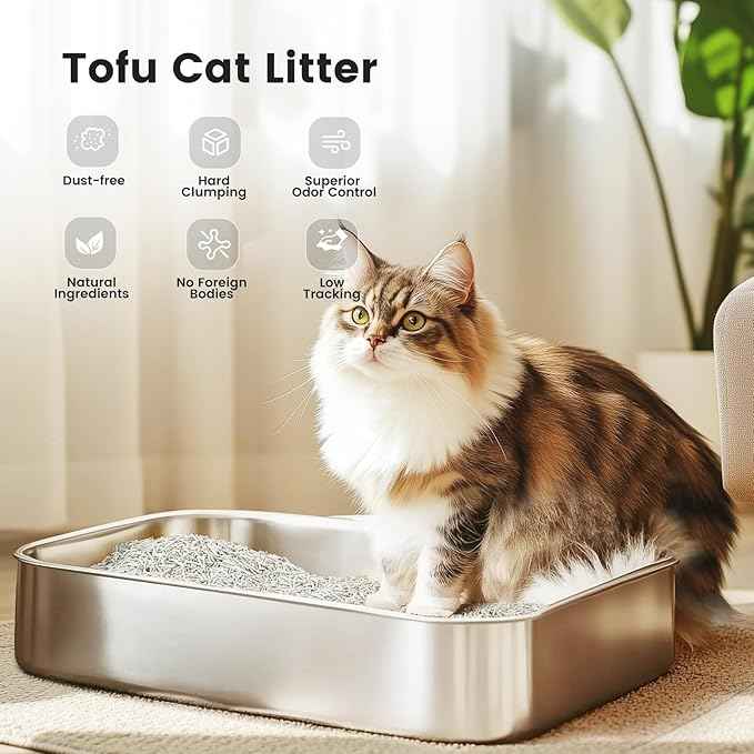 Gardner Pet Natural Tofu Cat Litter with Green Tea Extract – [2026]Fast Absorbing & Strong Clumping, Low Dust, Flushable Cat Litter for Odor Control, Easy Scooping for Multi-Cat Homes, 6 lbs x 3 Pack
