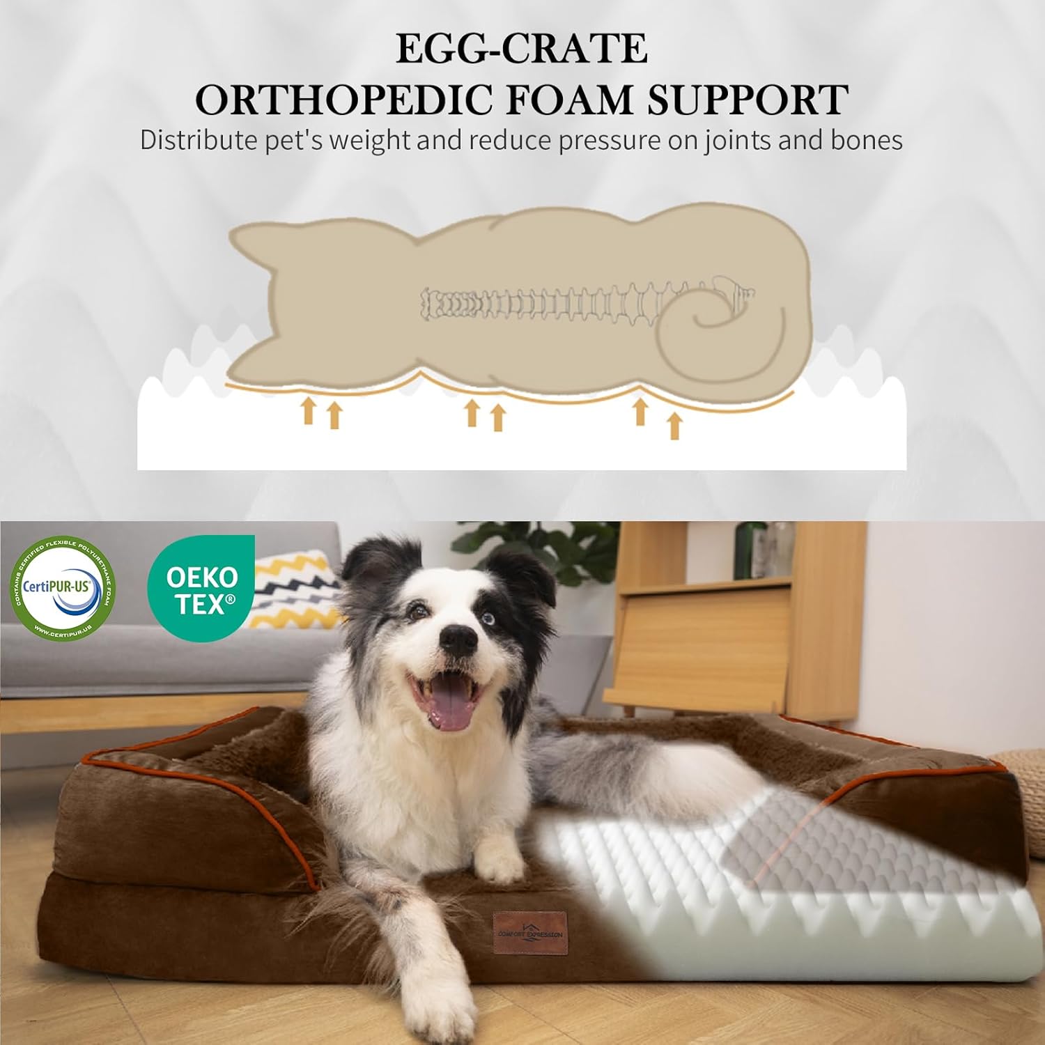 Comfort Expression Large Dog Beds Orthopedic Foam, Waterproof Dog Beds for Dogs, Comfy Pet Bed Sofa with Washable Removable Cover & Non-Slip Bottom(Large,Chocolate Brown) - Pet Explorer