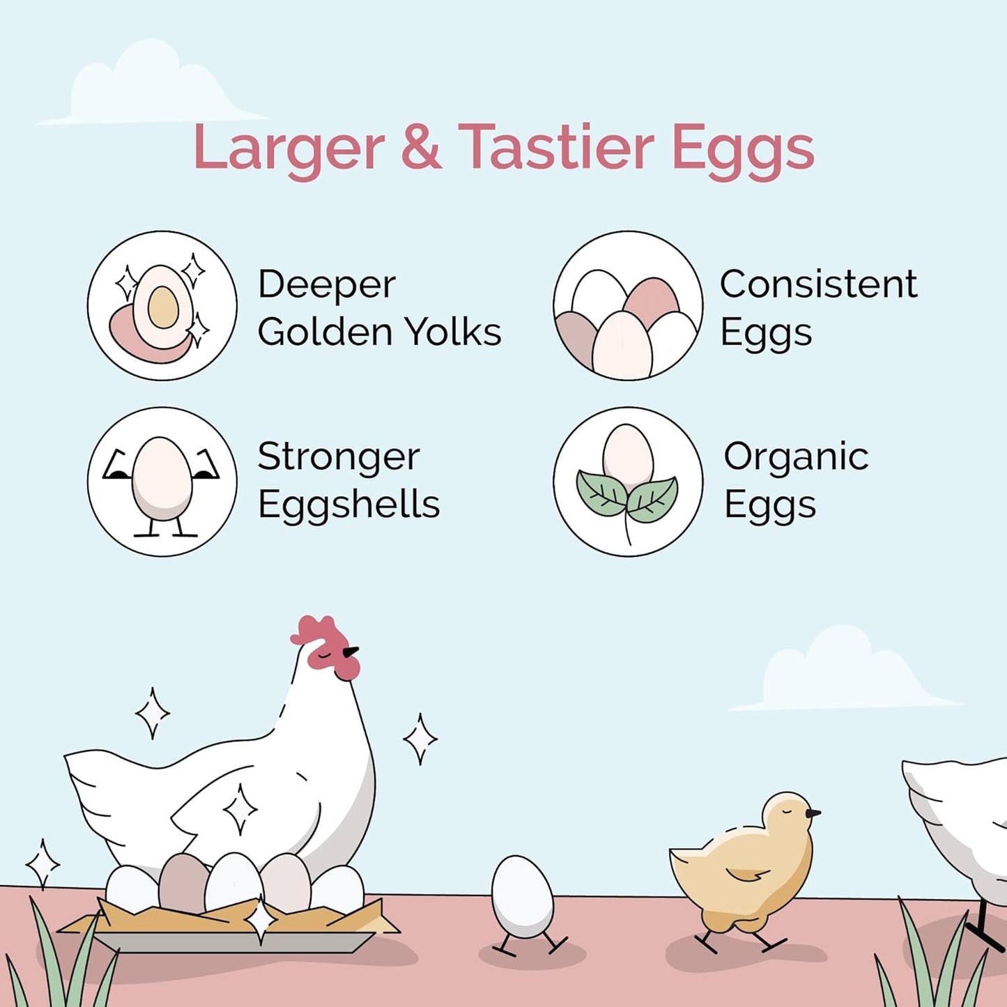 Organic Chicken Feed – Layer Whole Grain, Non-GMO, USA Grown, 16% Protein, Corn-Free, Soy-Free, Non-Medicated Feed for Chickens, 2 lb Sample