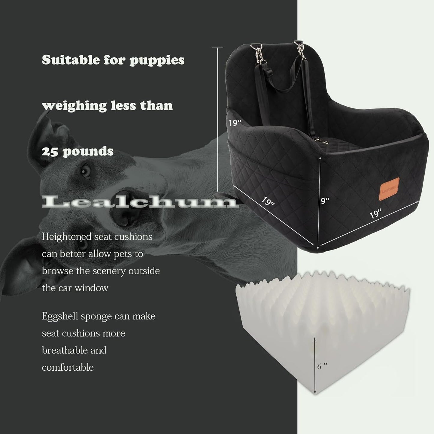 Dog Booster Car Seat for Small/Medium Dogs Up to 35lbs,Elevated Cushion Fits in Front/Back Seat,Fully Detachable and Washable,2 Storage Pockets & Dog Leashes,Easy to Install(Black,Medium) - Pet Explorer