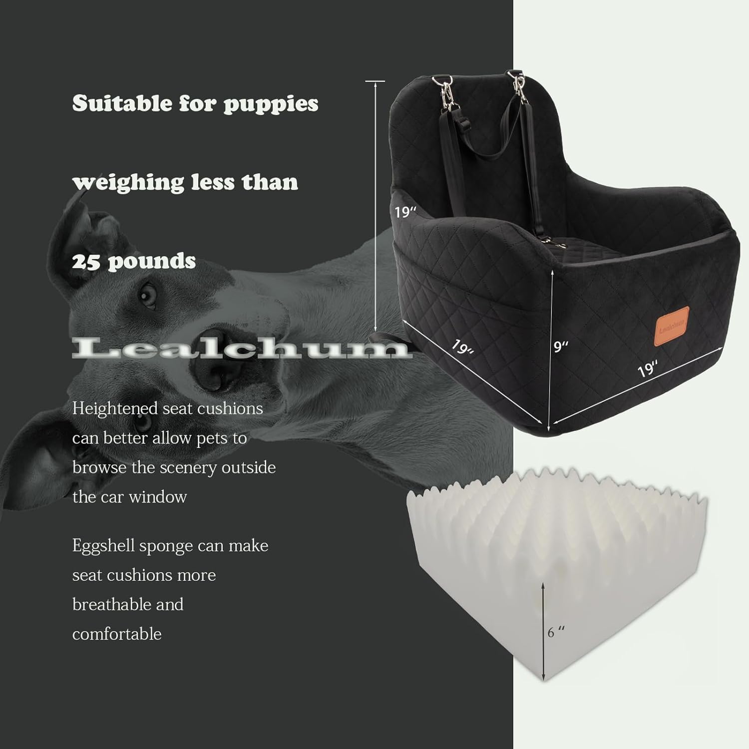 Dog Booster Car Seat for Small/Medium Dogs Up to 35lbs,Elevated Cushion Fits in Front/Back Seat,Fully Detachable and Washable,2 Storage Pockets & Dog Leashes,Easy to Install(Black,Medium) - Pet Explorer